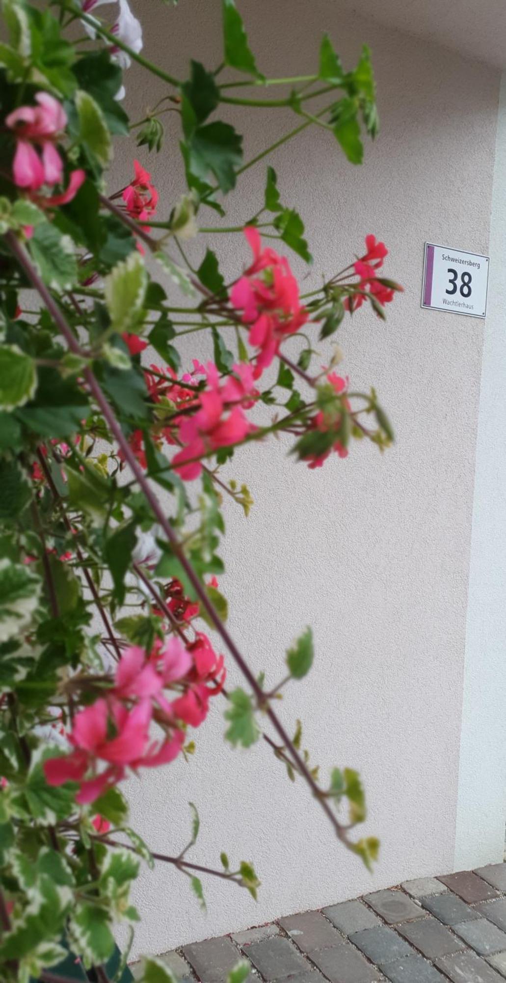Ferienwohnung Blick Ins Gruene Rossleithen Exteriör bild